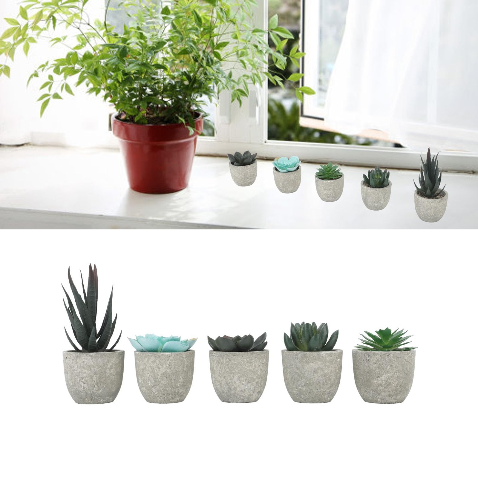 5 PCS Succulents Plants Artificial Mini Fake Pots Assorted Small Faux Decor
