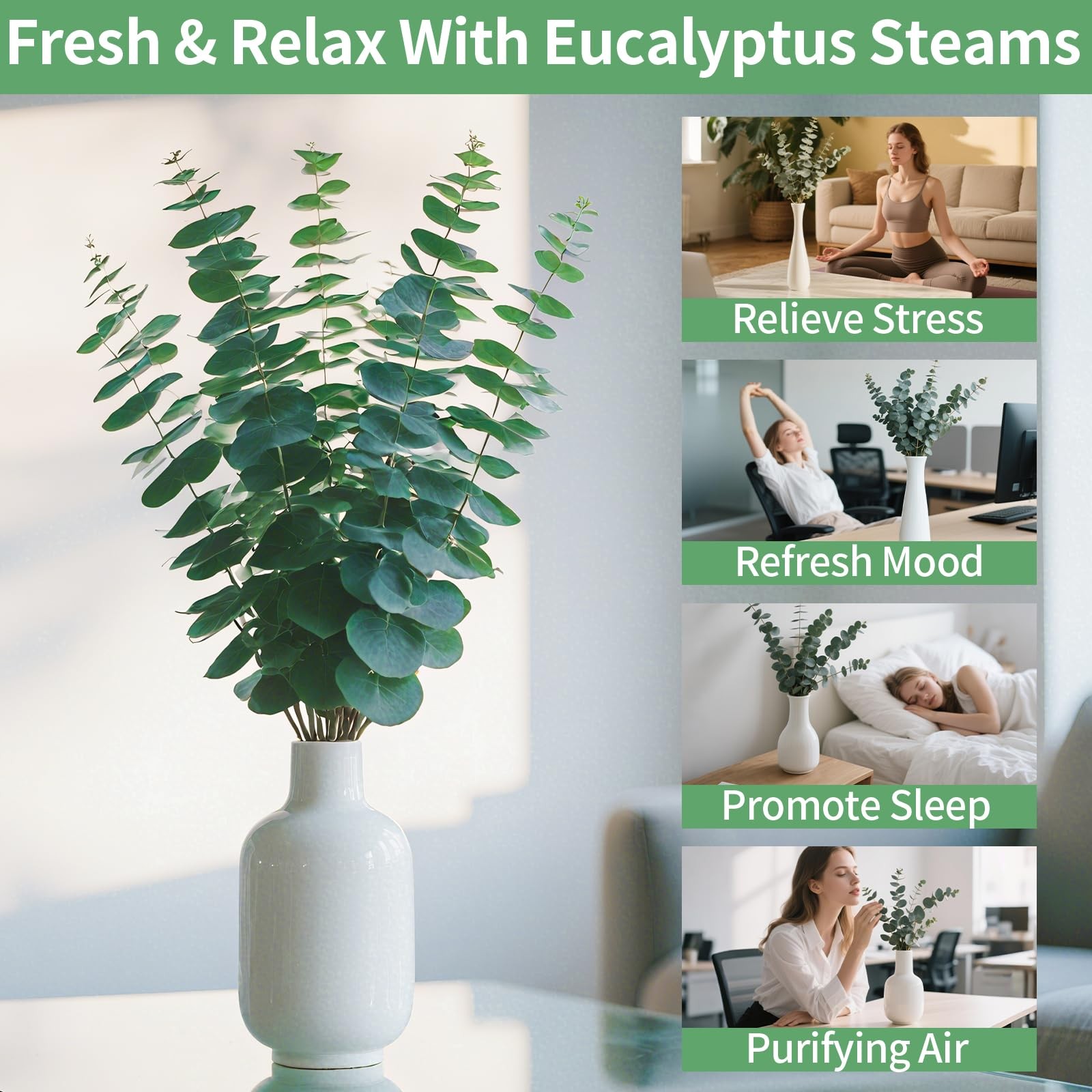 12PCS Dried Eucalyptus Bundle 17” Real Eucalyptus Stems 100% Natural Fresh L…