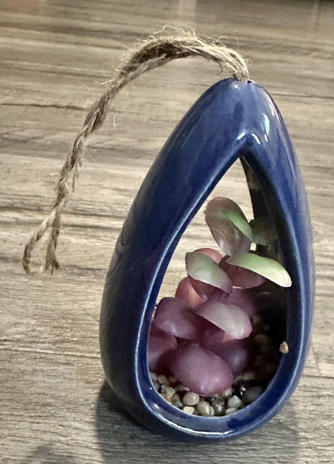 Cute Mini Hanging Succulent with Rocks Shaped Pod Hanging Art BRAND NEW!!!