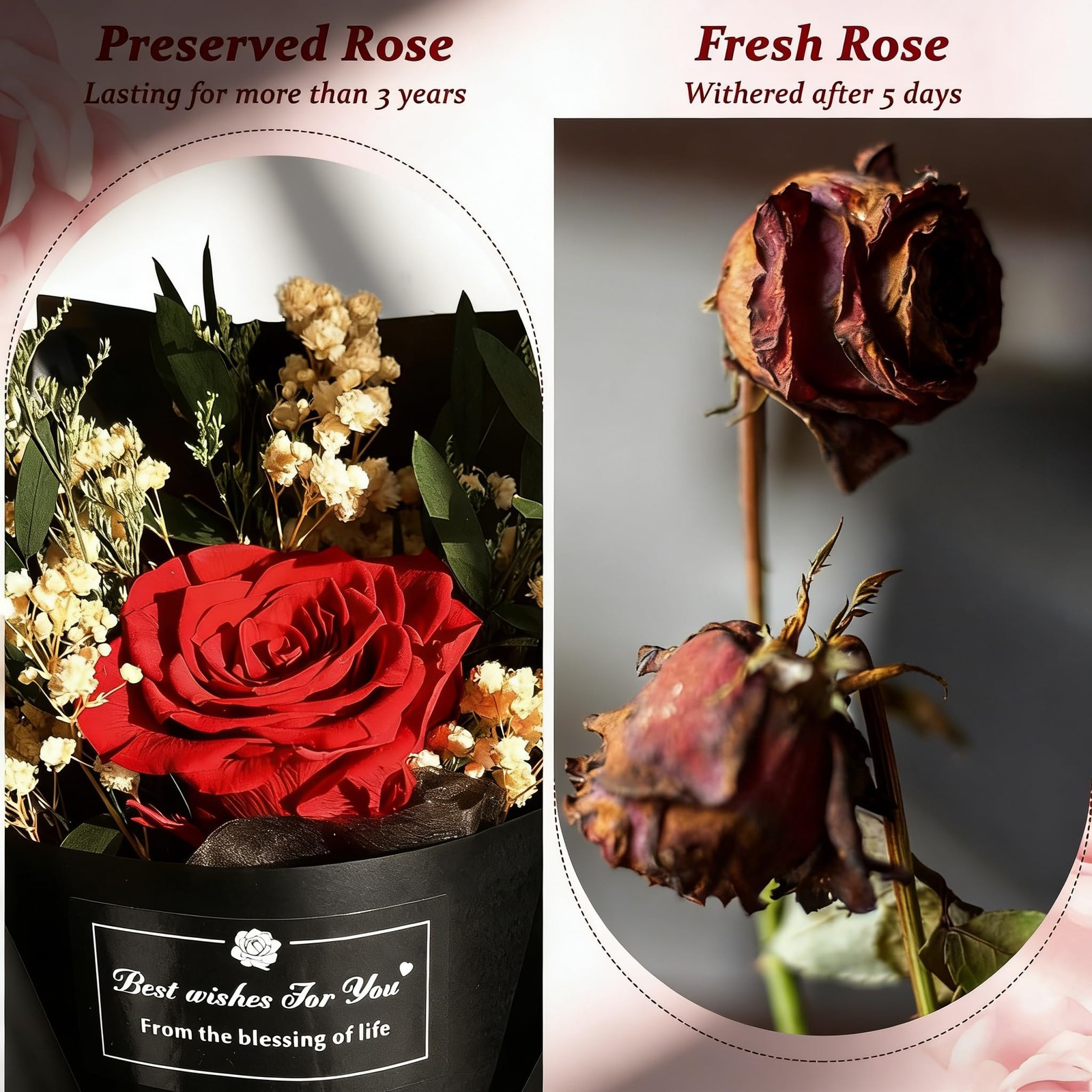 Real Preserved Red Forever Flower Roses Gift Box Valentines Day Anniversary