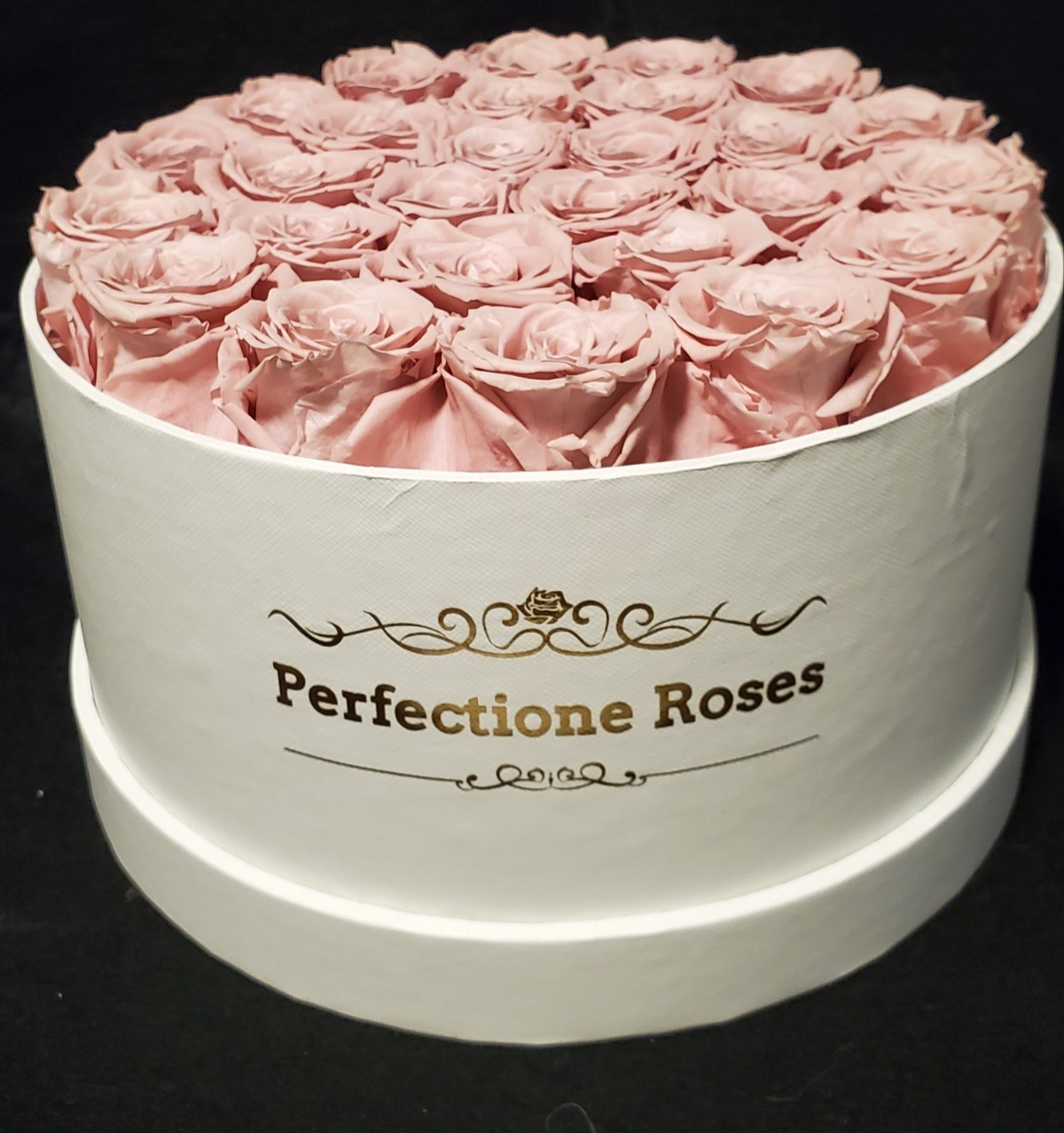 Perfectione Preserved REAL PINK ROSES White Round Lidded Box ~ Lasts 3-5 Years