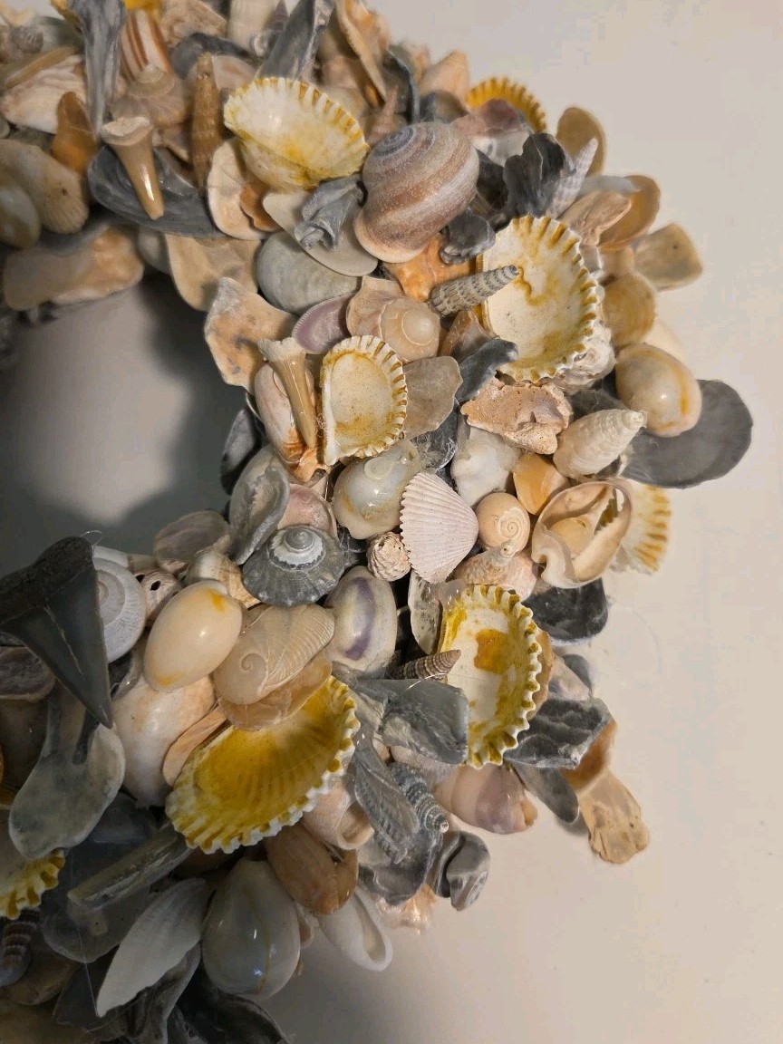 Coastal Seashell Wreath Fossil Shark Teeth Nautical 10″ Center Piece, Hang