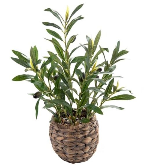 Indoor Fake Plants 17.7 inches Tall Lifelike Artificial Plants with Cyan Olive