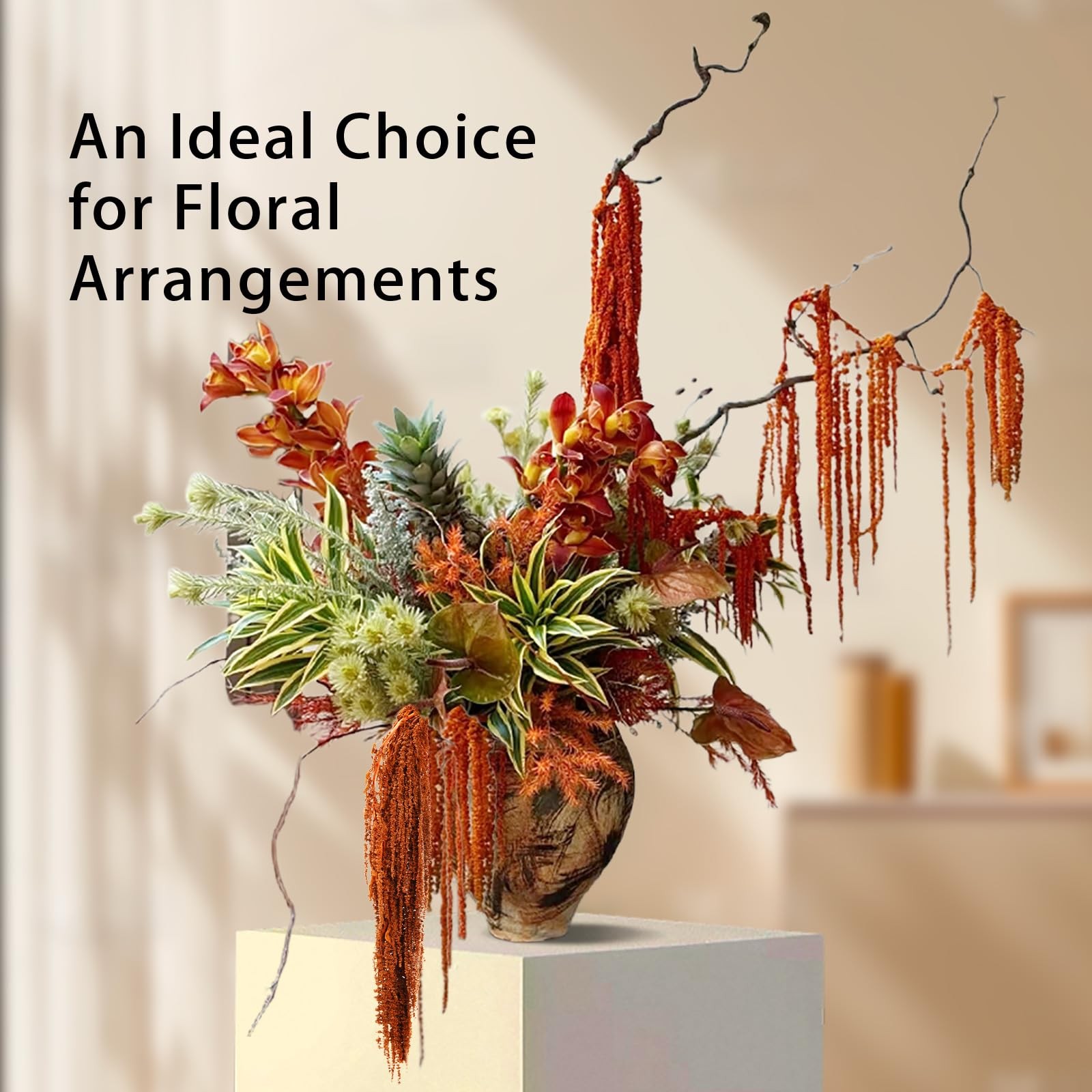 5Pcs Dried Amaranthus Hanging Flowers, Natural Preserved Flower for Wedding A…