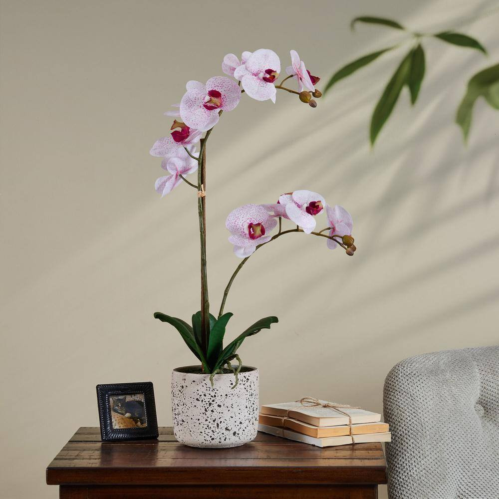 Real Touch 21- Inch-Pink Spotted- Artificial Phalaenopsis Orchid Flower in Pot