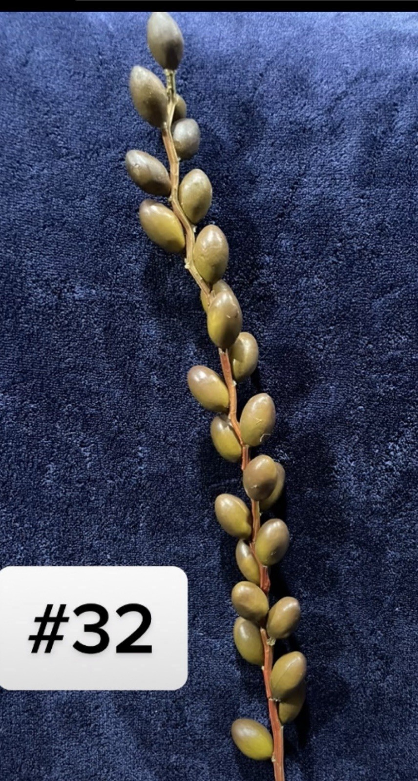 Artificial Olives Decor Twig & Stem Faux Branch Oval Pods Bundle Of 5