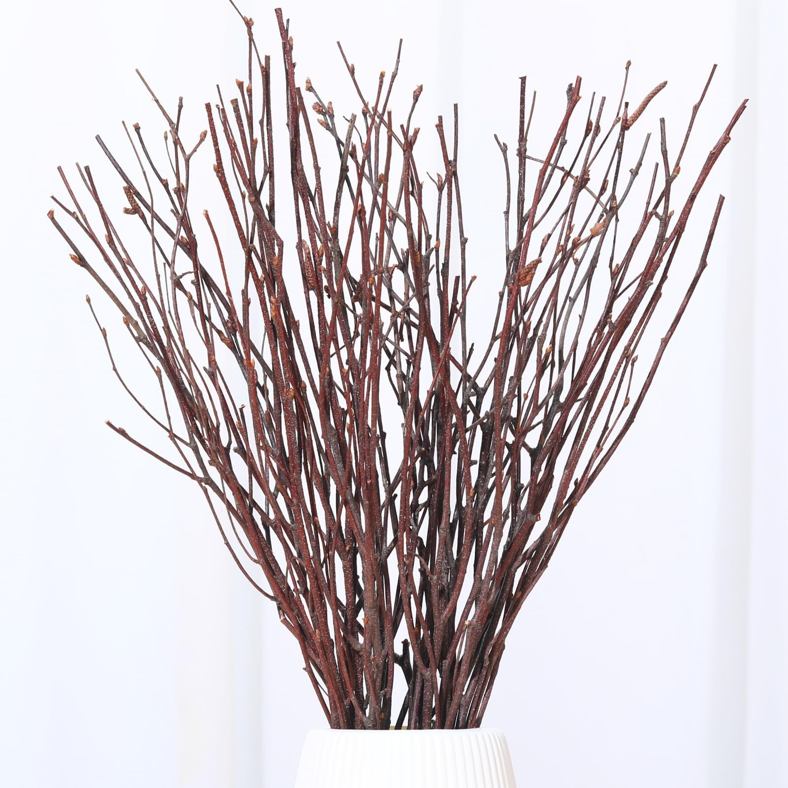 30 PCS Real Dried Birch Twigs 17 Inch Natural Decorative Branches Crafts Vase