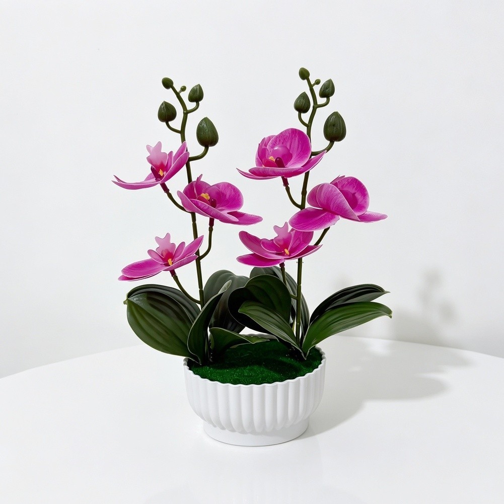 Imitation Orchid Plant with 6 Blooms 6 Leaves in Pot 26cm Indoor Decor