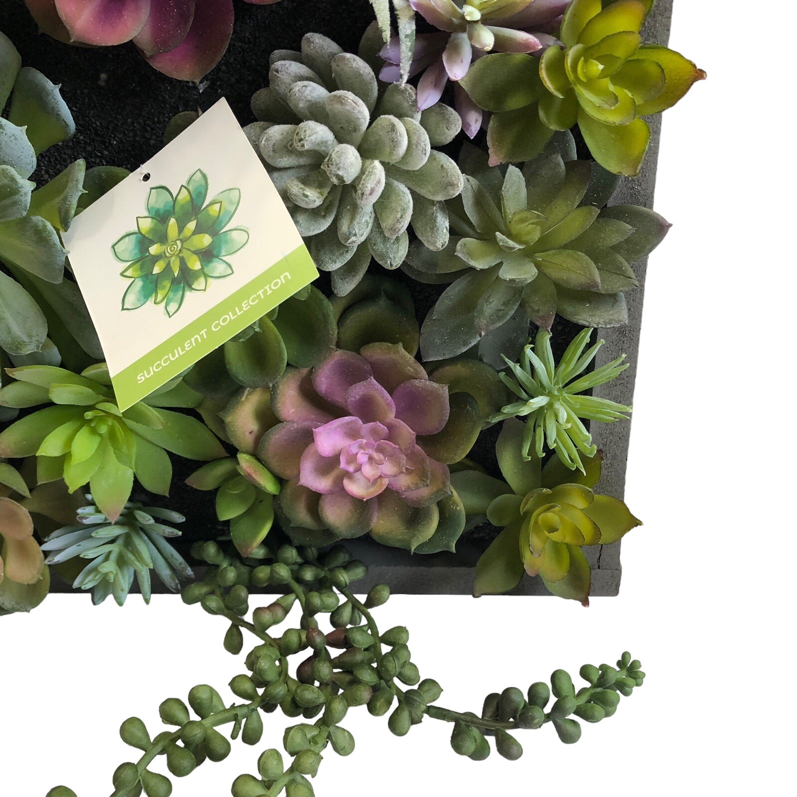 WALL OF FAUX SUCCULENT Cactus in Gray Wood Box Decor Display 12x12x3 inches New