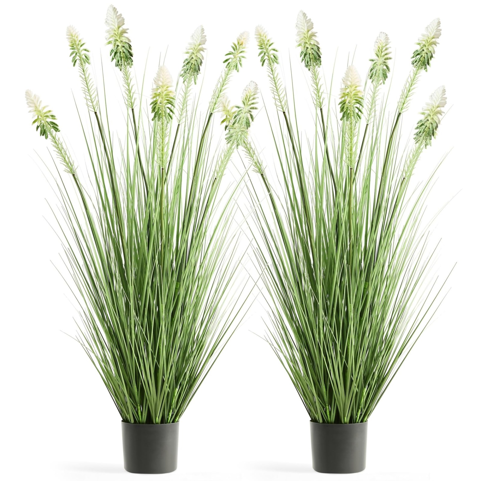 4ft 2-Pack Horsetail Reed Grass with White Cockscomb Flower, 48in Tall Indoor…