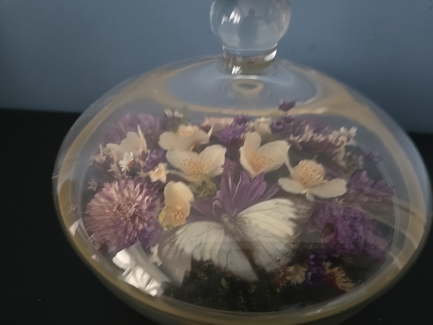 Vintge Apothecary Round Dome Dish Display w Lid Terrarium Floral Dried Flowers