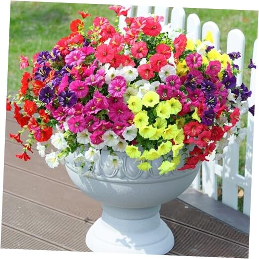 6 Mixed Color(2 Fuchsia, 2 Purple, 2 Yellow, 2 White, 2 Red, 2 Hot Pink)