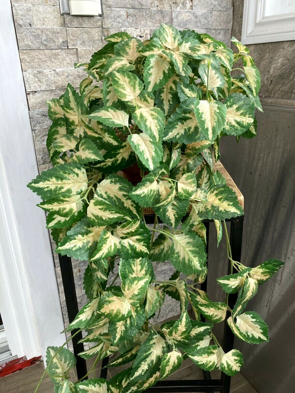Hanging Silk Plant Natural Looking Coleus (?) Moss Terracotta Pot Tropical 36″