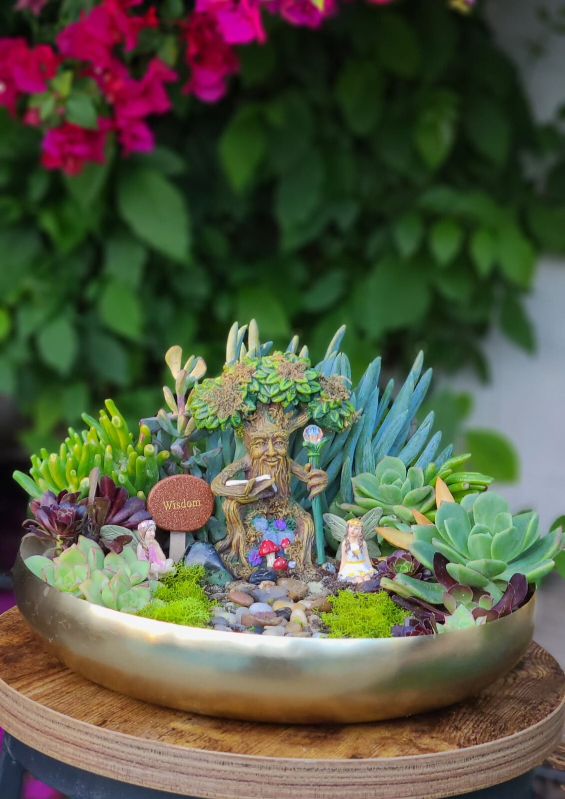 Mini Zen Garden with Natural Succulents + crystals for the Interior of the Home