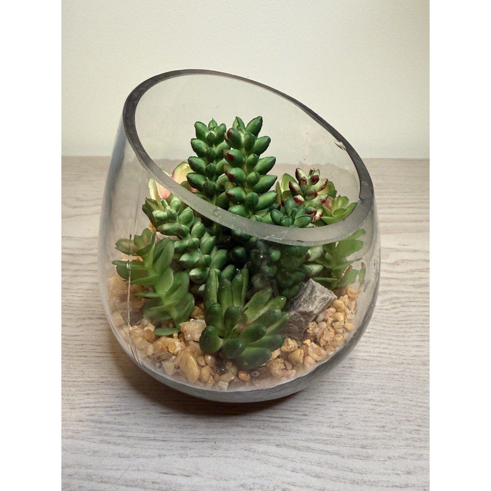 Faux Succulent Terrarium Bowl • Glass Cactus Arrangement • Tabletop Home Decor