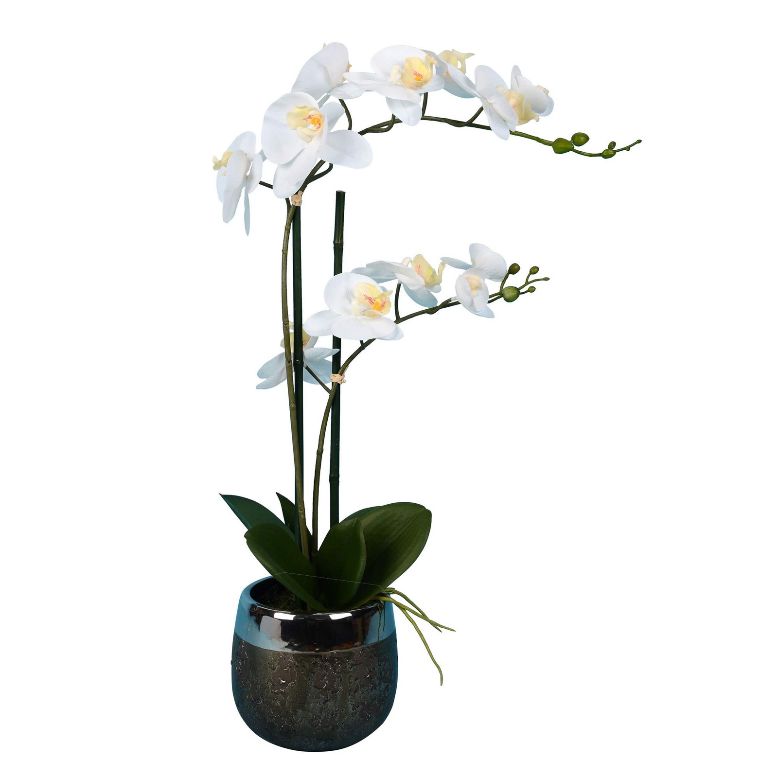 Vickerman 23″ Plastic Artificial Phalaenopsis with Metal Pot in White