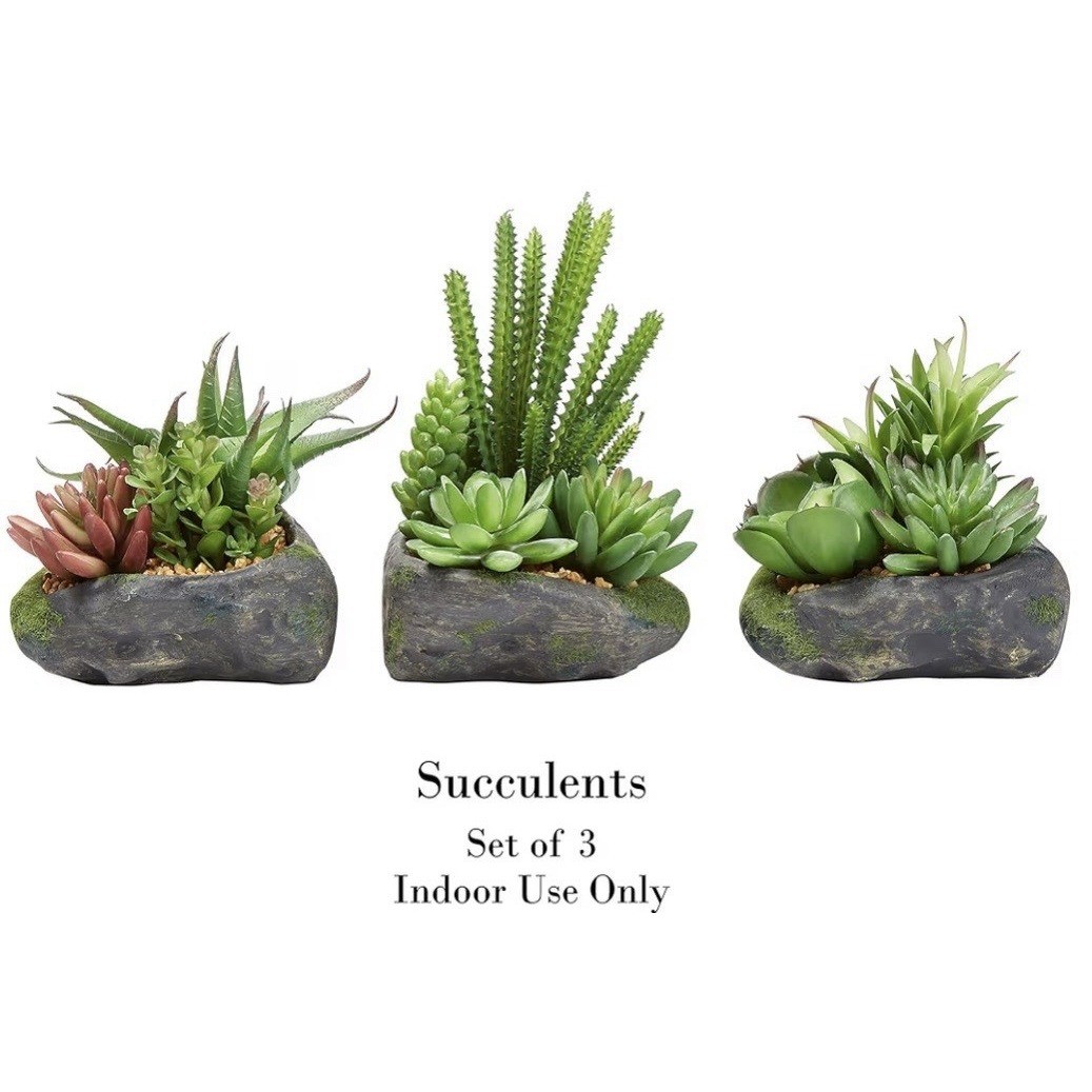 Pure Garden Artificial Succulent Plant Set 3 Piece Faux Stone Pots 50-LG1123