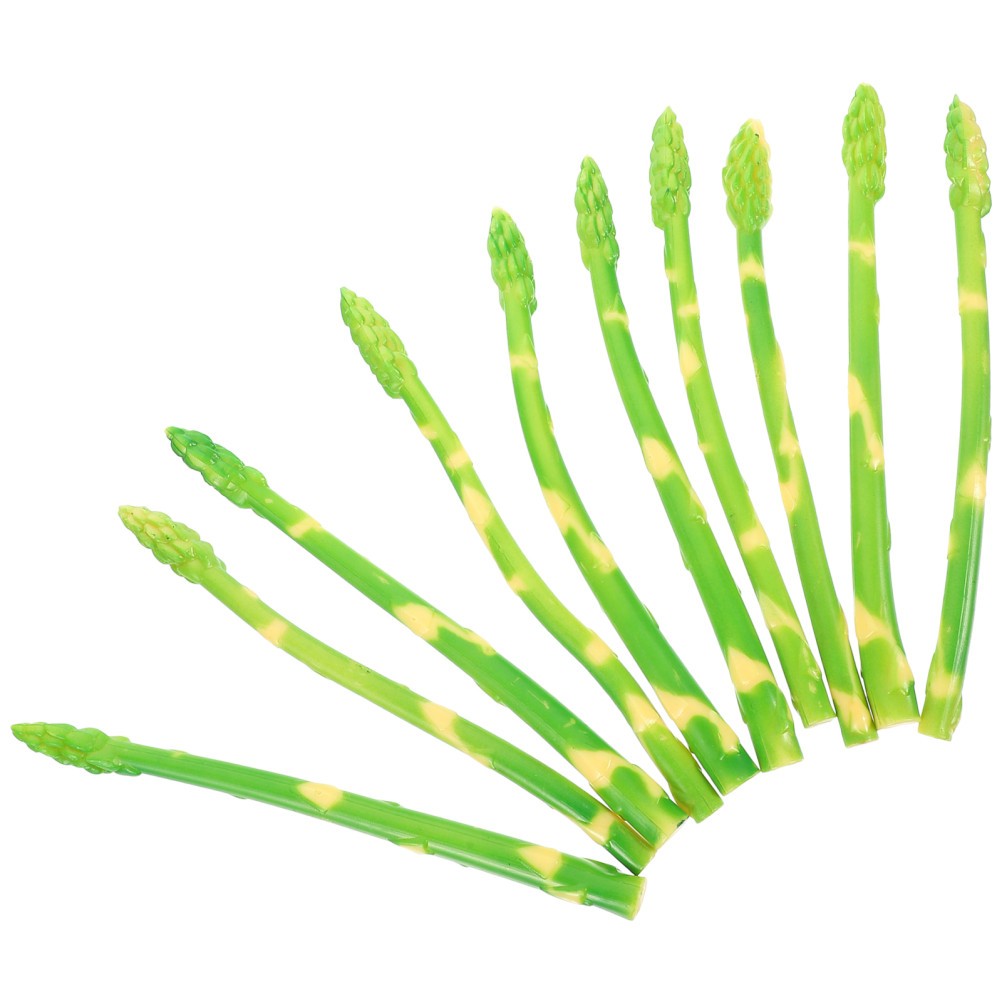 10 Pcs Realistic Artificial Asparagus Model for Catering Hall Decoration