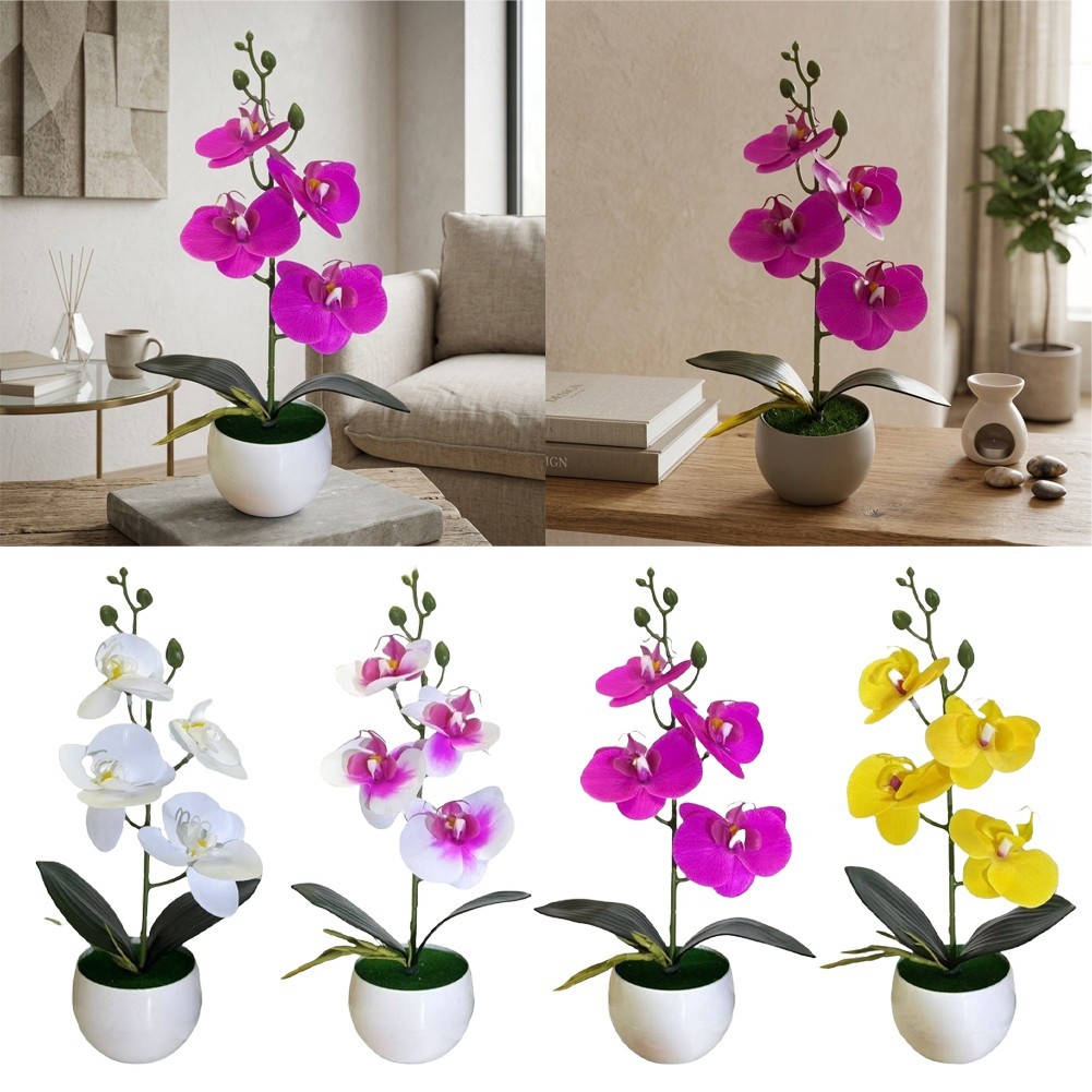Four Flower Butterfly Orchid Bonsai Simulation in Round Belly Pot Decor