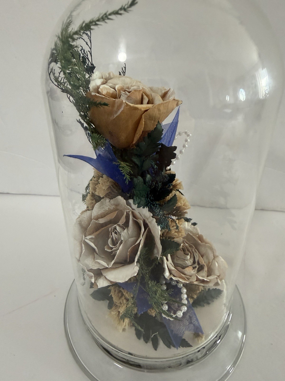 Natural Expressions Real Freeze Dried Rose Floral Dome Glass Display 8”
