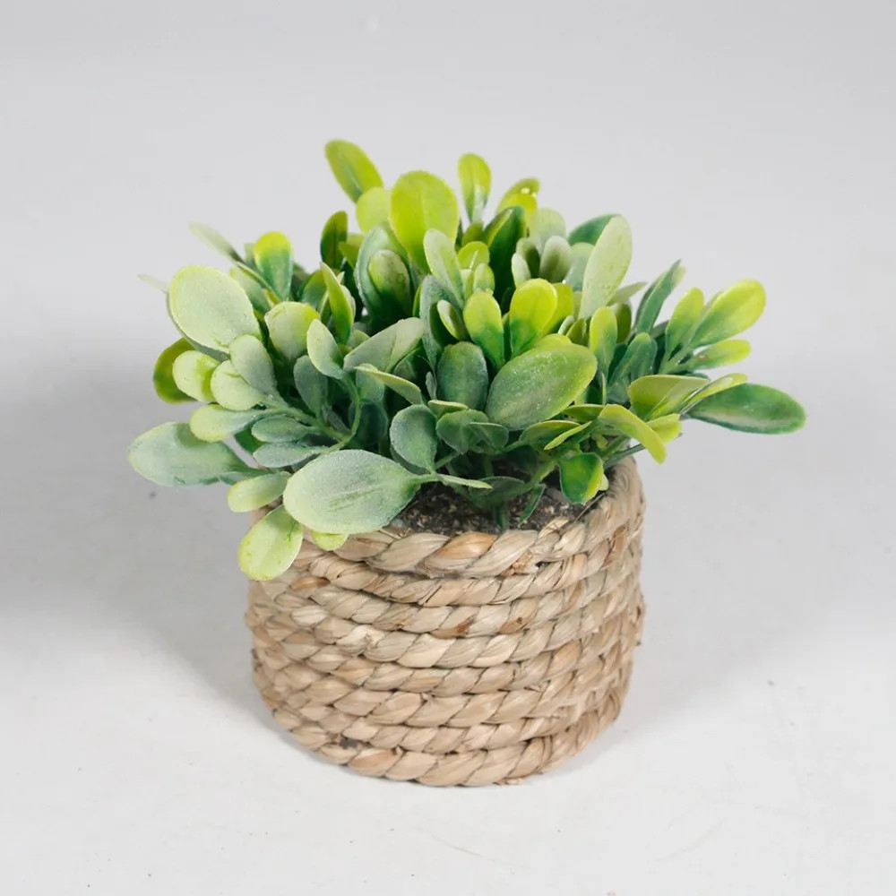 Green Artificial Potted Plant Eucalyptus Grass 11cm Artificial Plants Plastic