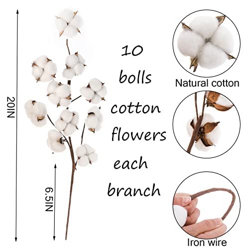 5 Pack Cotton Stems – 50pcs Cotton Flower Bolls, 20″ Natural Floral Branches for