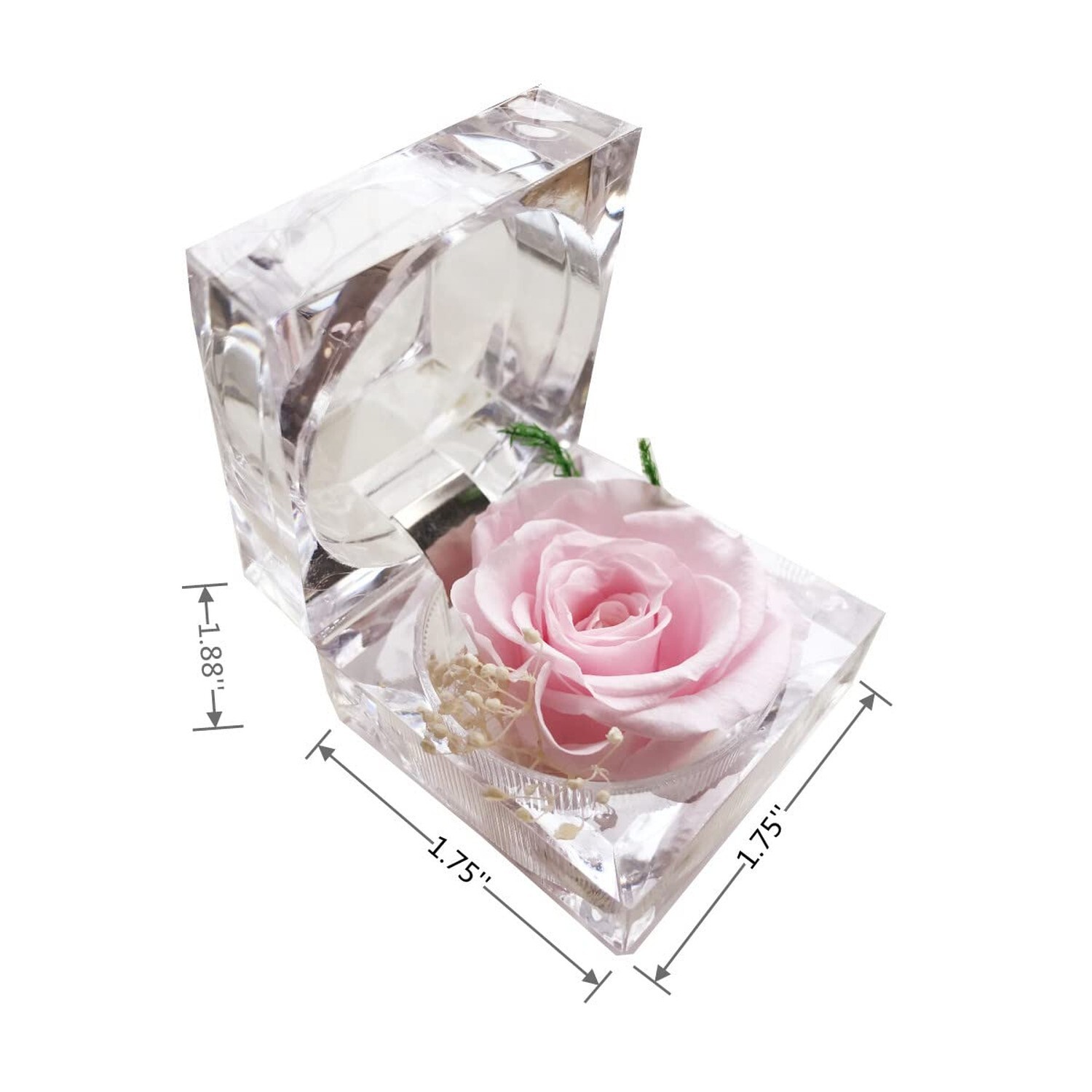 Preserved Rose Real Forever Rose in Mini Clear Ring Box, Eternal Flower Rose …