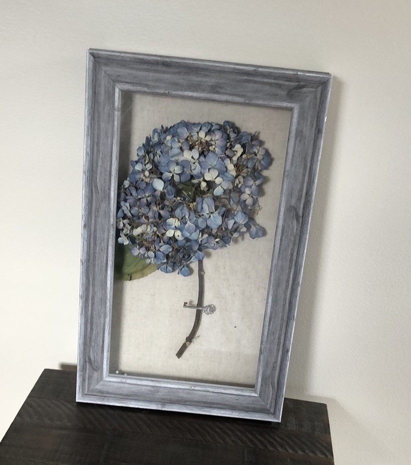 Real dried light blue hydrangea in wood frame 16”H x 10” W