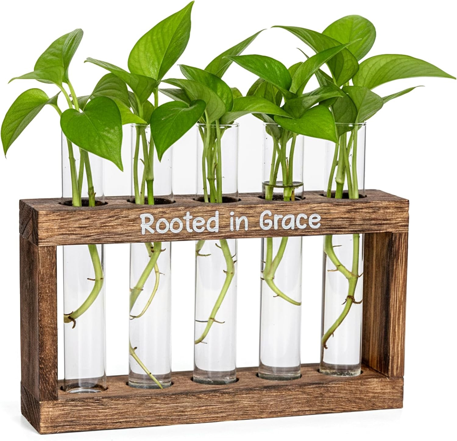 Rooted in Grace Plant Propagation Station – Wooden Stand with 5 Glass Vases, Fai