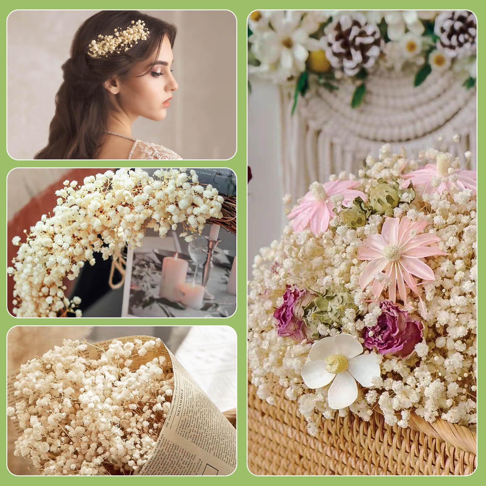 2000+ Ivory Dried Baby’s Breath Natural Gypsophila for Weddings DIY Crafts