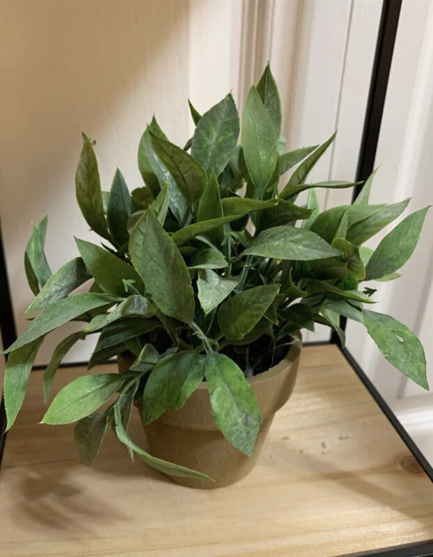 Herb Pot 🪴in Terra Cotta Style Pot Artificial Plant