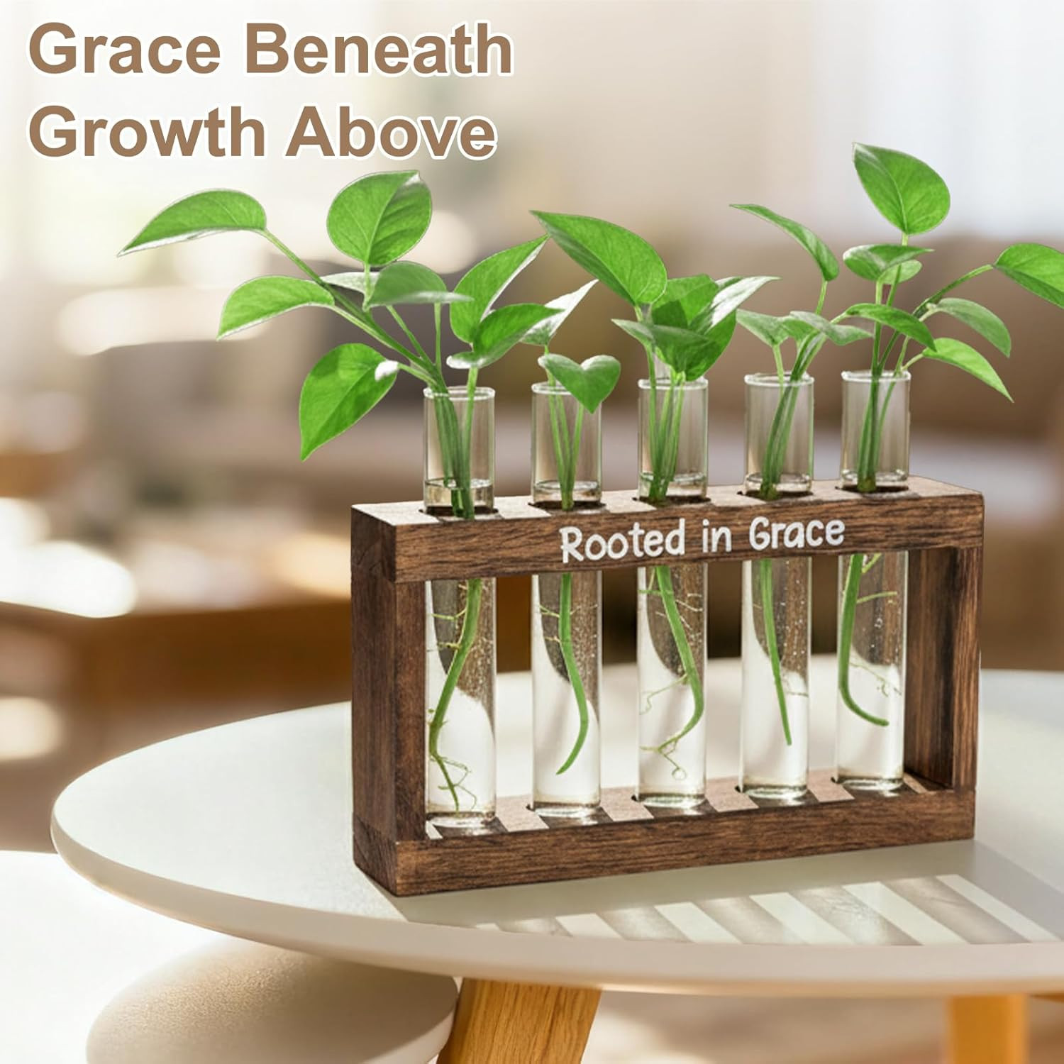 Rooted in Grace Plant Propagation Station – Wooden Stand with 5 Glass Vases, Fai