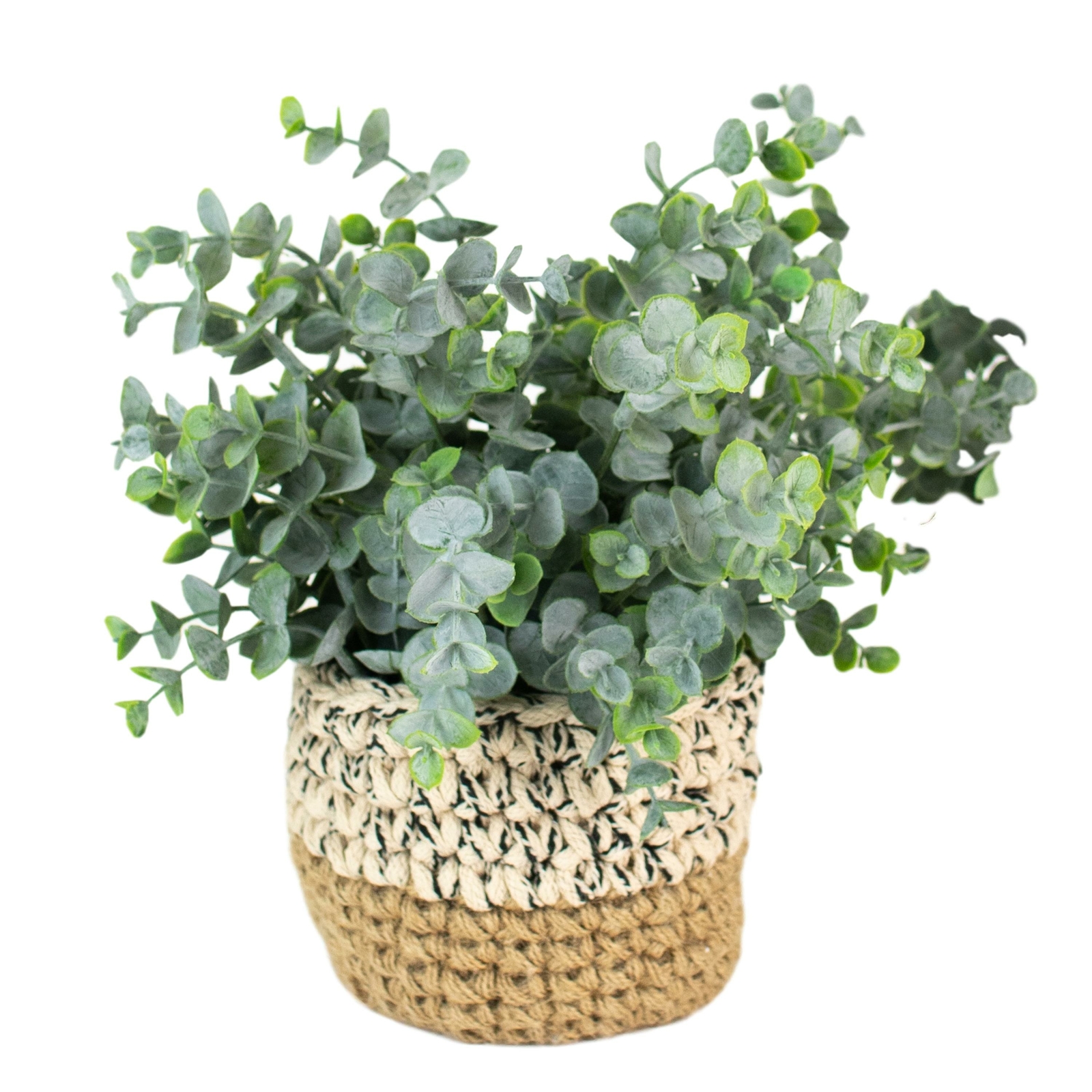 Set Three Faux Floral Eucalyptus Plants Round Woven Pots Permanent Greenery Pots