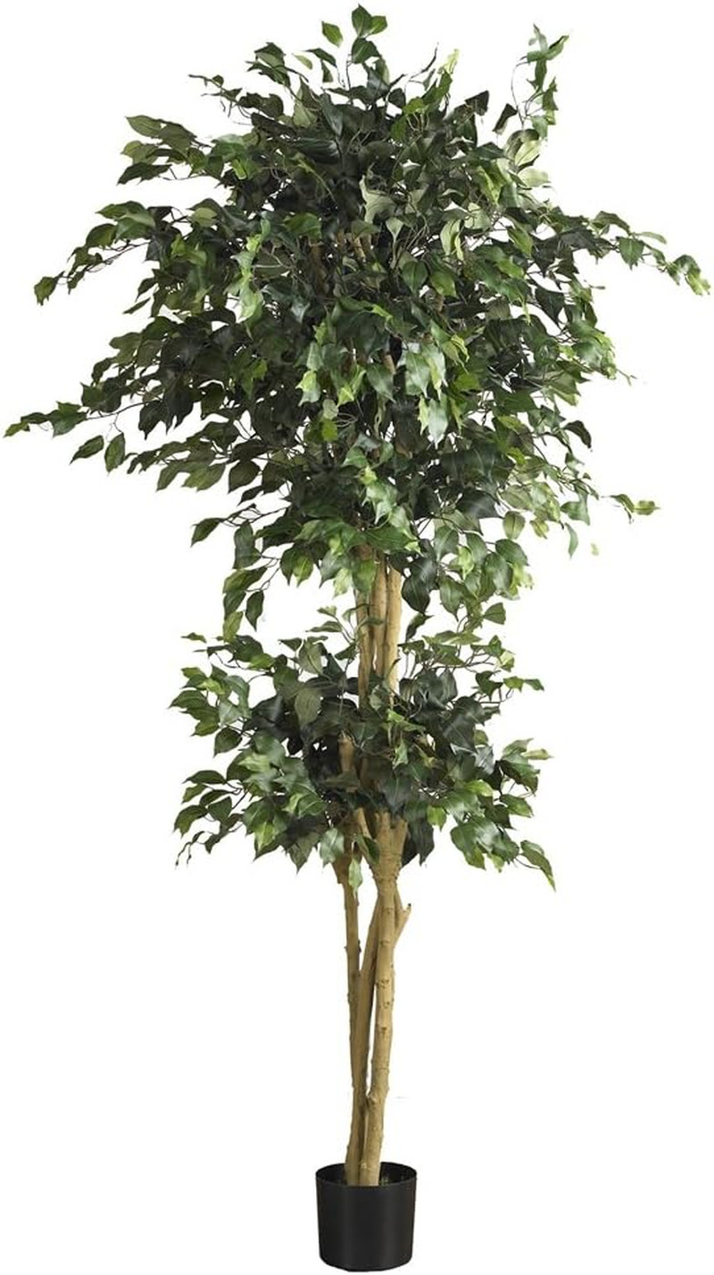 6-Foot Double Ball Ficus Silk Tree – Lush Green Decor
