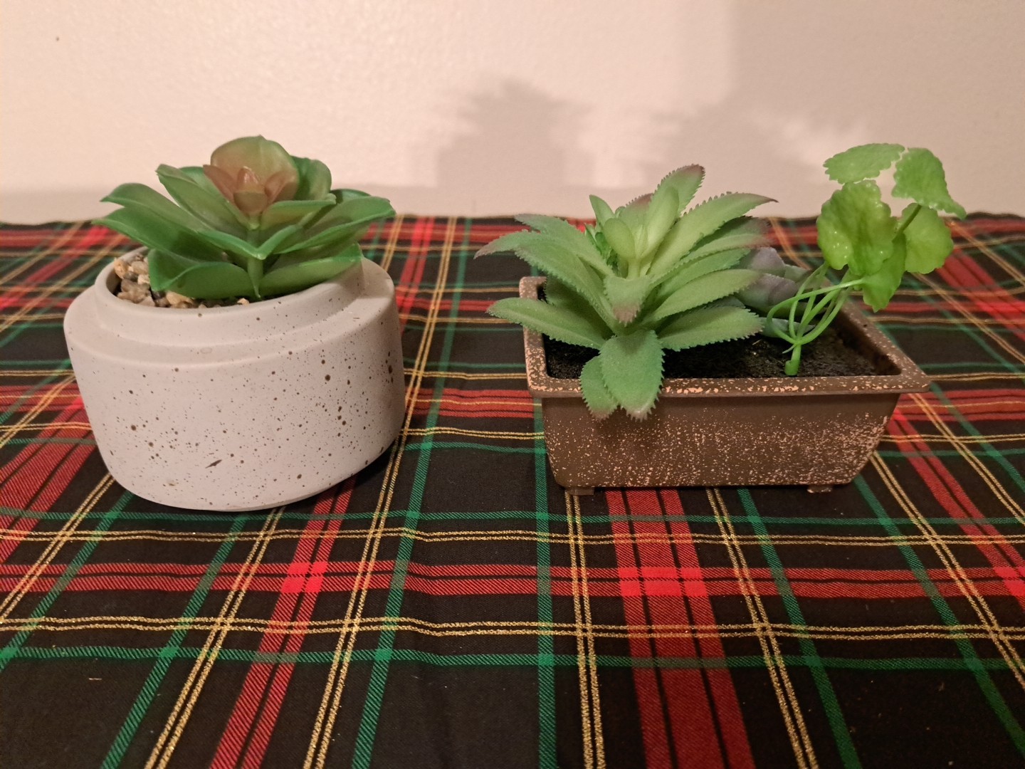 Mini Artificial Succulent Plants Set Of 2 In Pots Minimalist Modern Home Decor