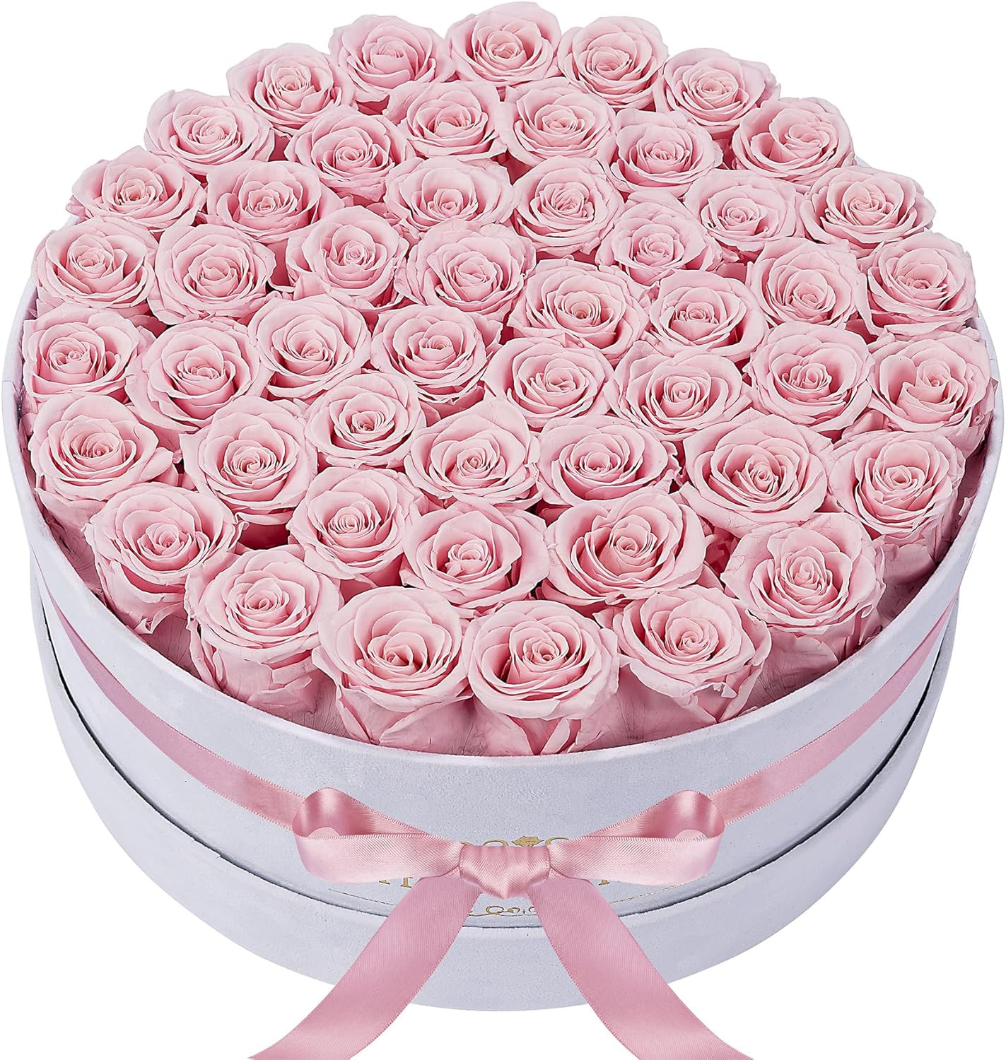 50 Piece Roses in a Velvet Box, Flowers for Delivery, Presereved Flowers Birthda