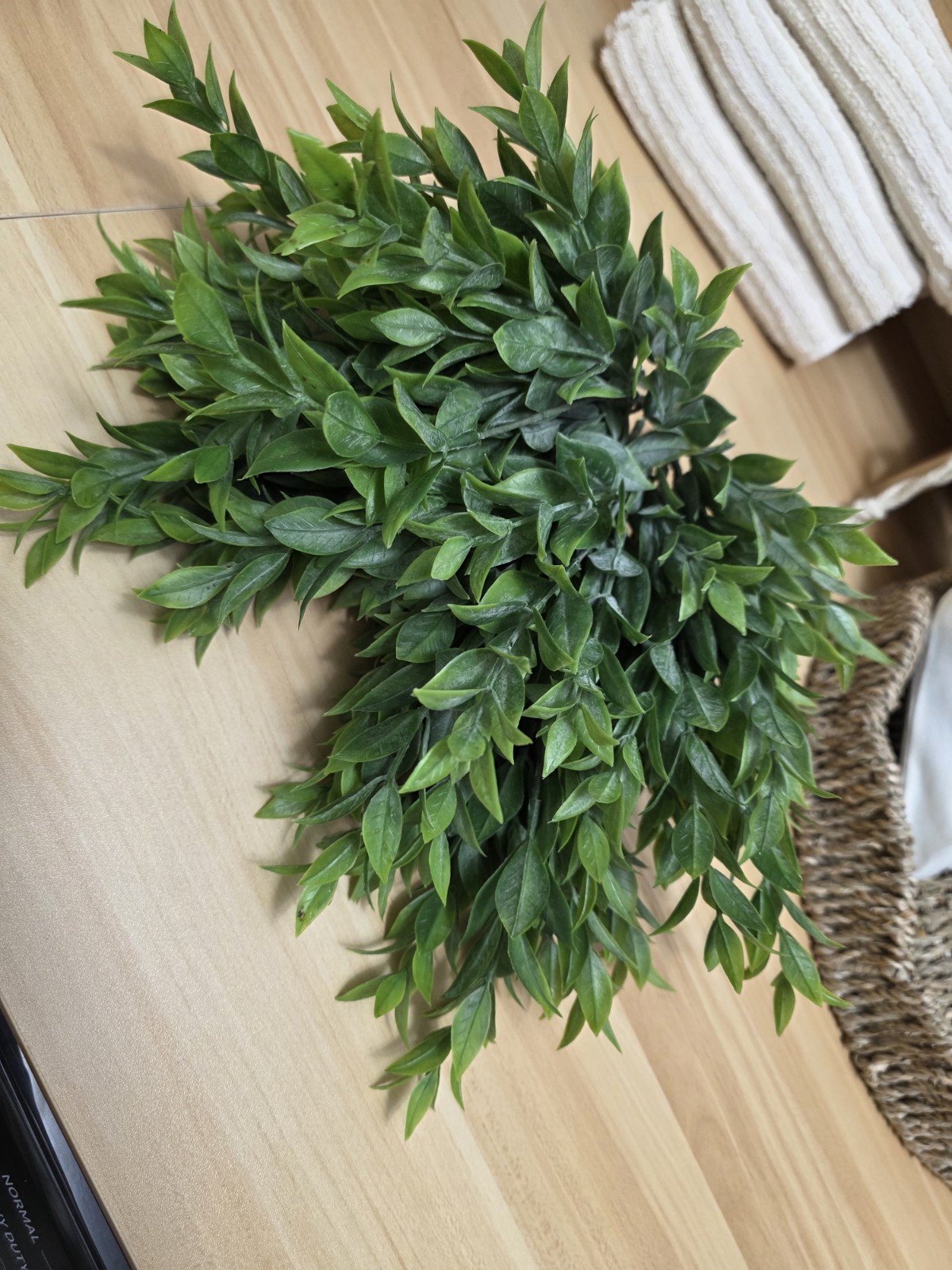 Dusty Green Faux Rucus Spray