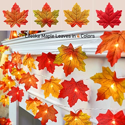 2 Pack Fall Decorations for Home Maple Leaf Lights Multicolored, Total 2 PACK