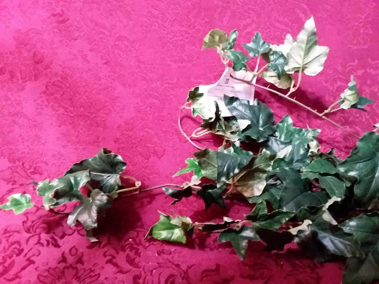 Home Interiors Greenery Ivy Spray / Hunter Green /New/ 22-24 Inches long