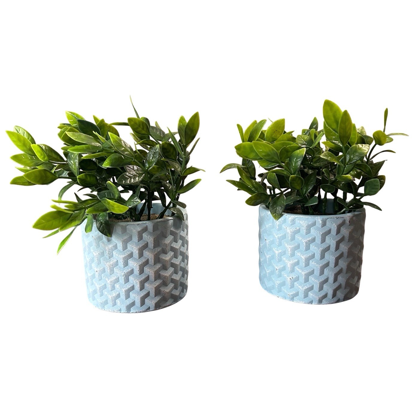 Artificial Potted Eucalyptus Plants 8” Blue Textured Ceramic Vase Set Of 2
