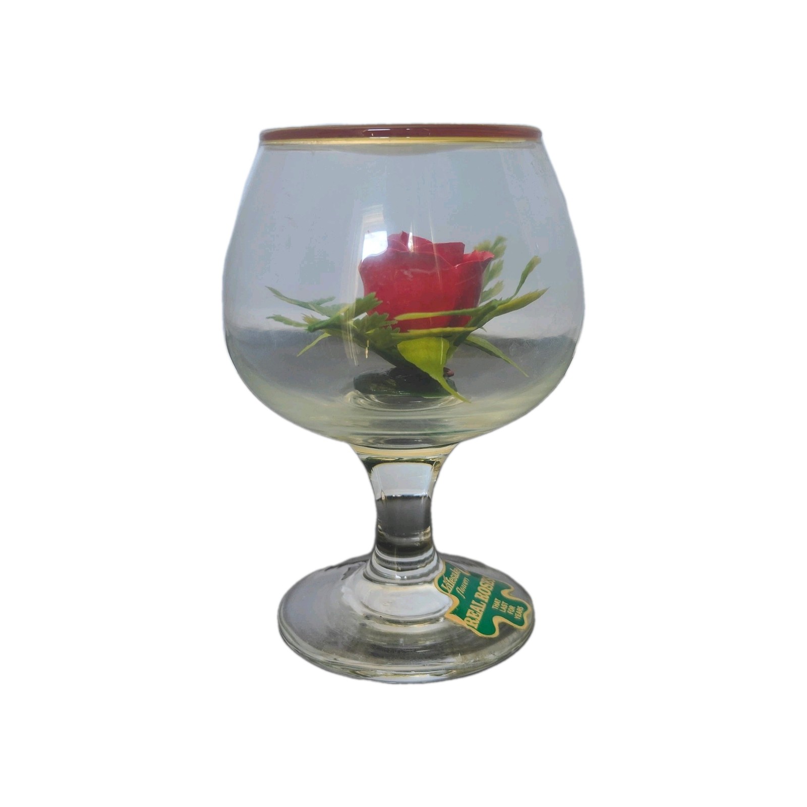 Lifesake Flowers Red Rose Preserved In Wine Glass Decor VTG Cottage Core Romance