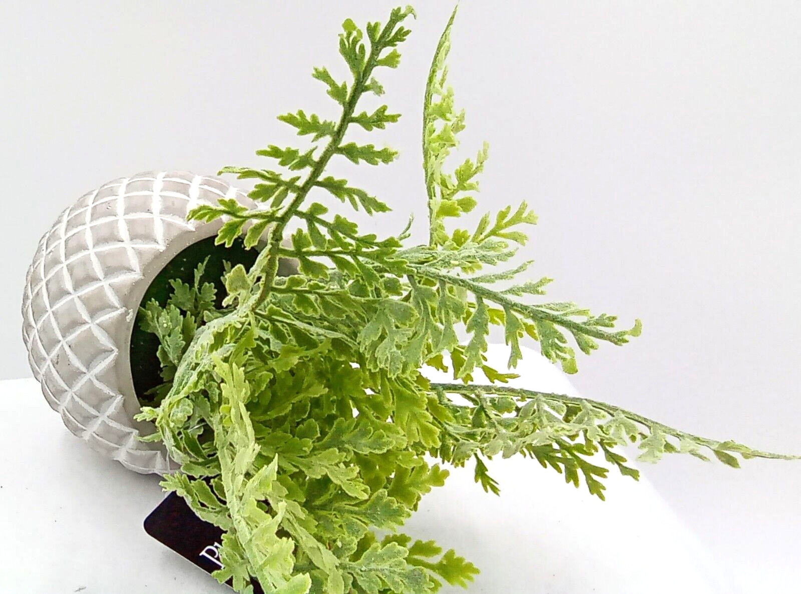 Fern Ceramic Pot Planter Diamond Pattern White Gray Tan Artificial Floral 10″