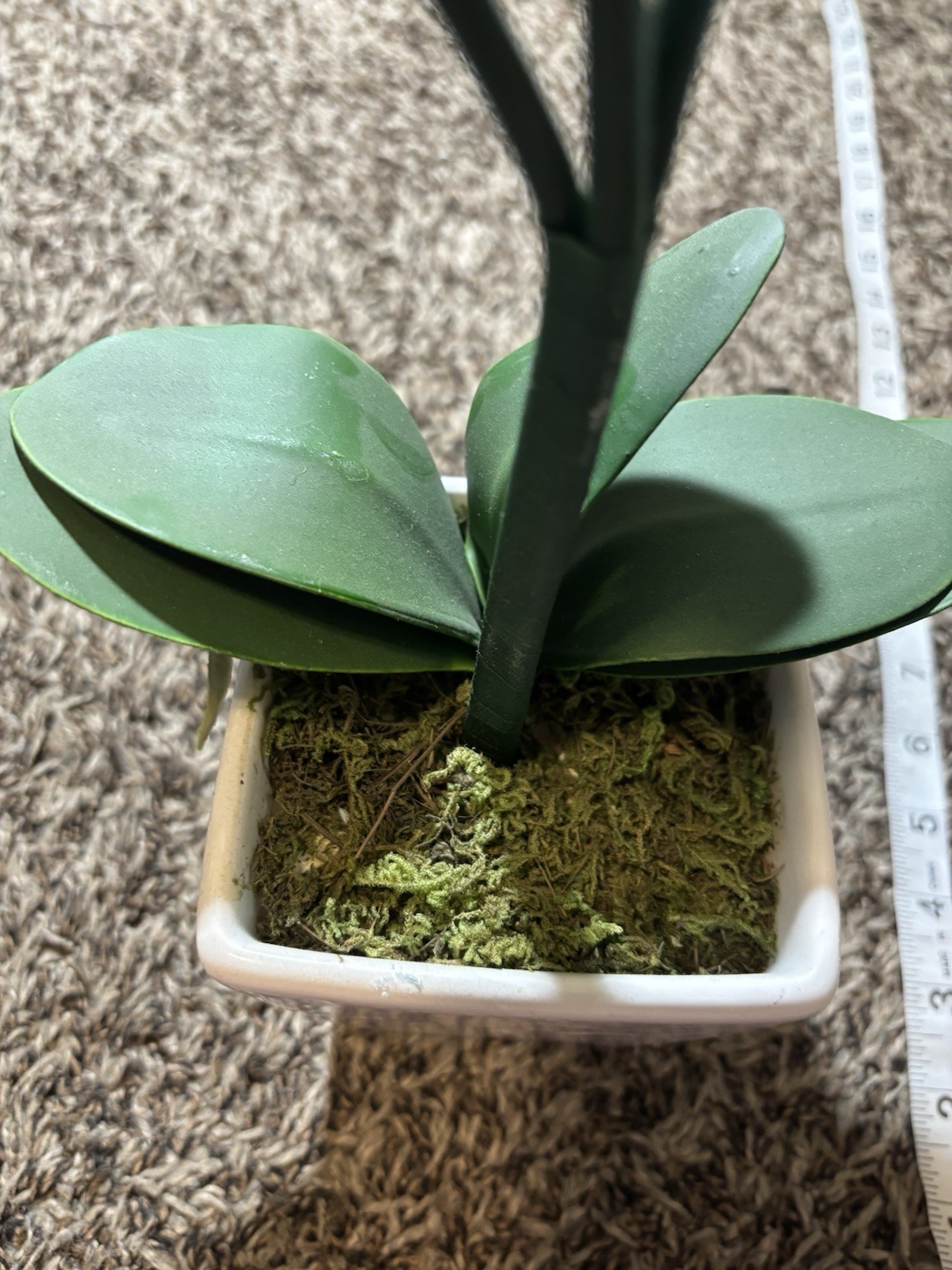 Artificial Orchid Plant in White Ceramic Pot – 23” Tall – Teal Blue Flowers