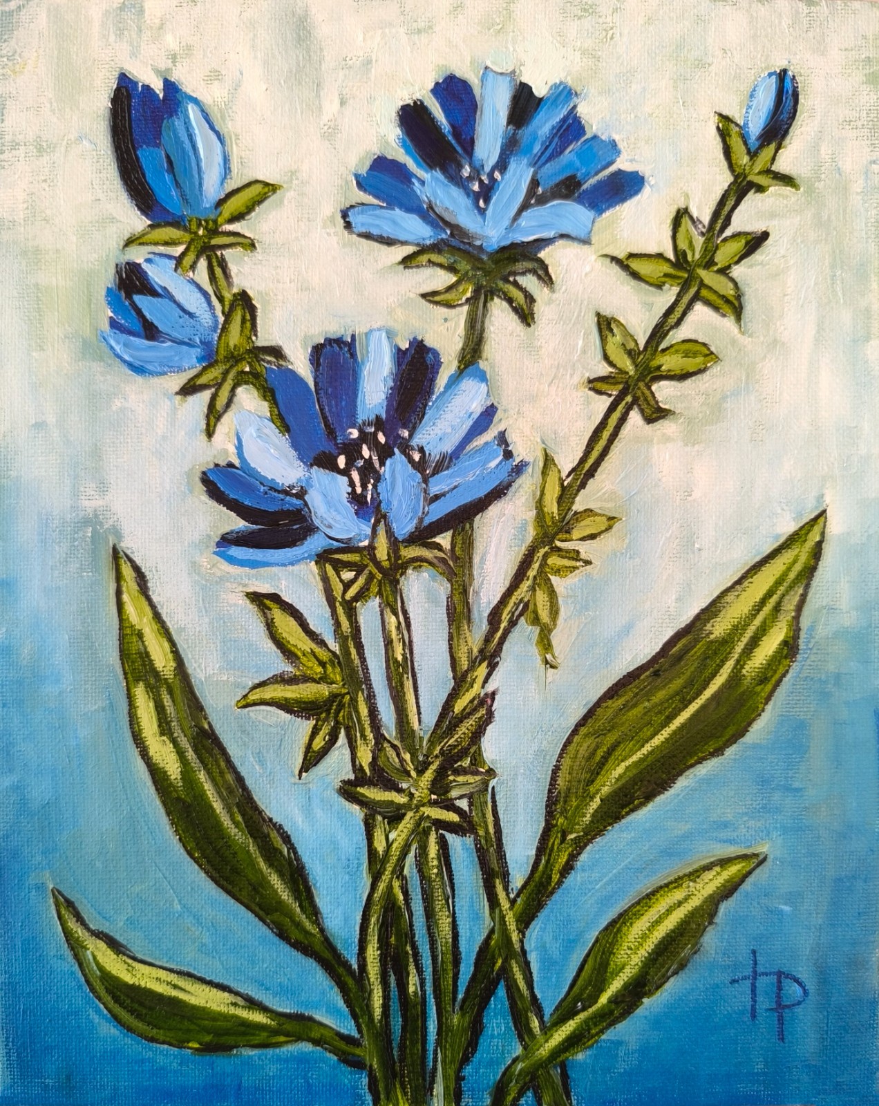 Chicory Botanical Oil Painting Original Floral Expressionist Art Blue Flower Wal