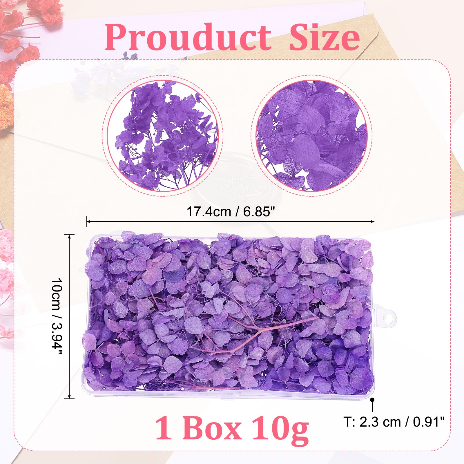 10g Mini Dried Hydrangea Flower Natural Pressed Flower Real Hydrangeas Purple