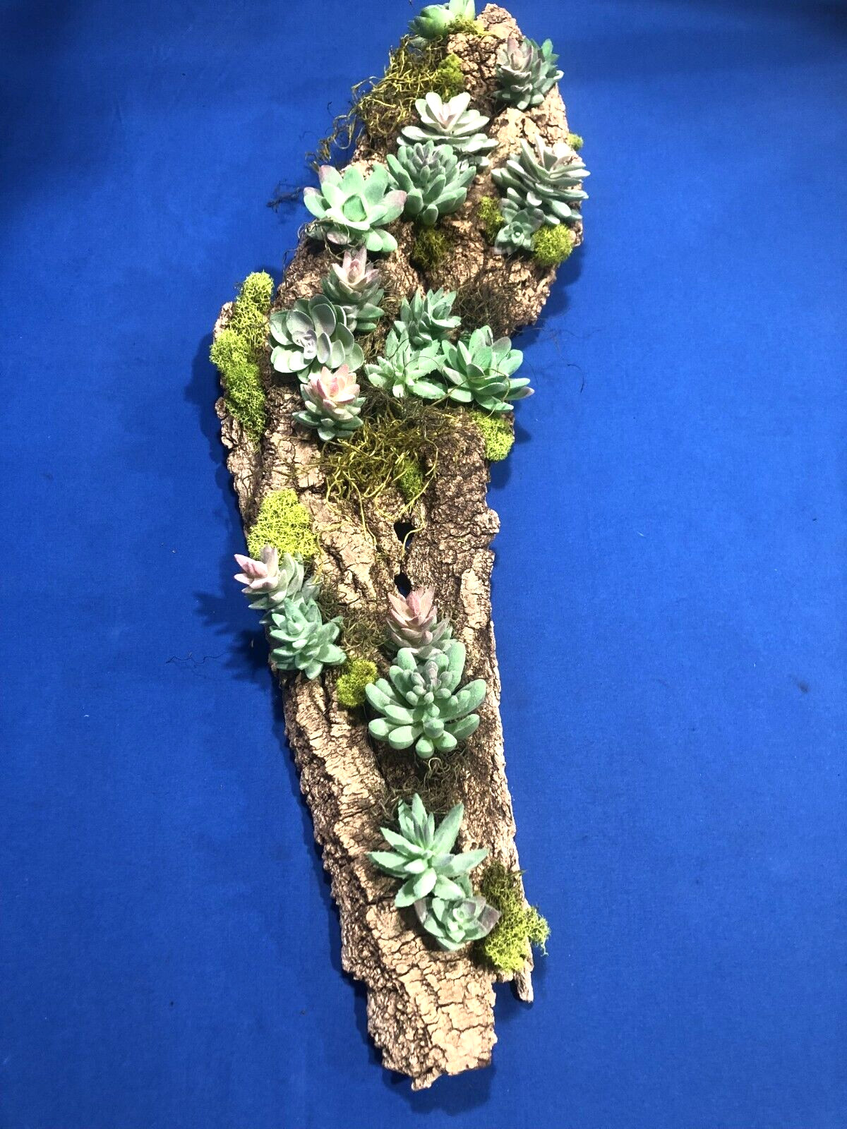 Artificial Succulent Air Plant Wall Art Home Office Mounted on Real Wood Bark