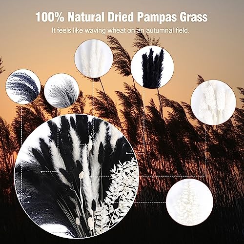 102PCS Black Pampas Grass Decor, Grey White Natural Dried Pampas D-Black 102Pcs