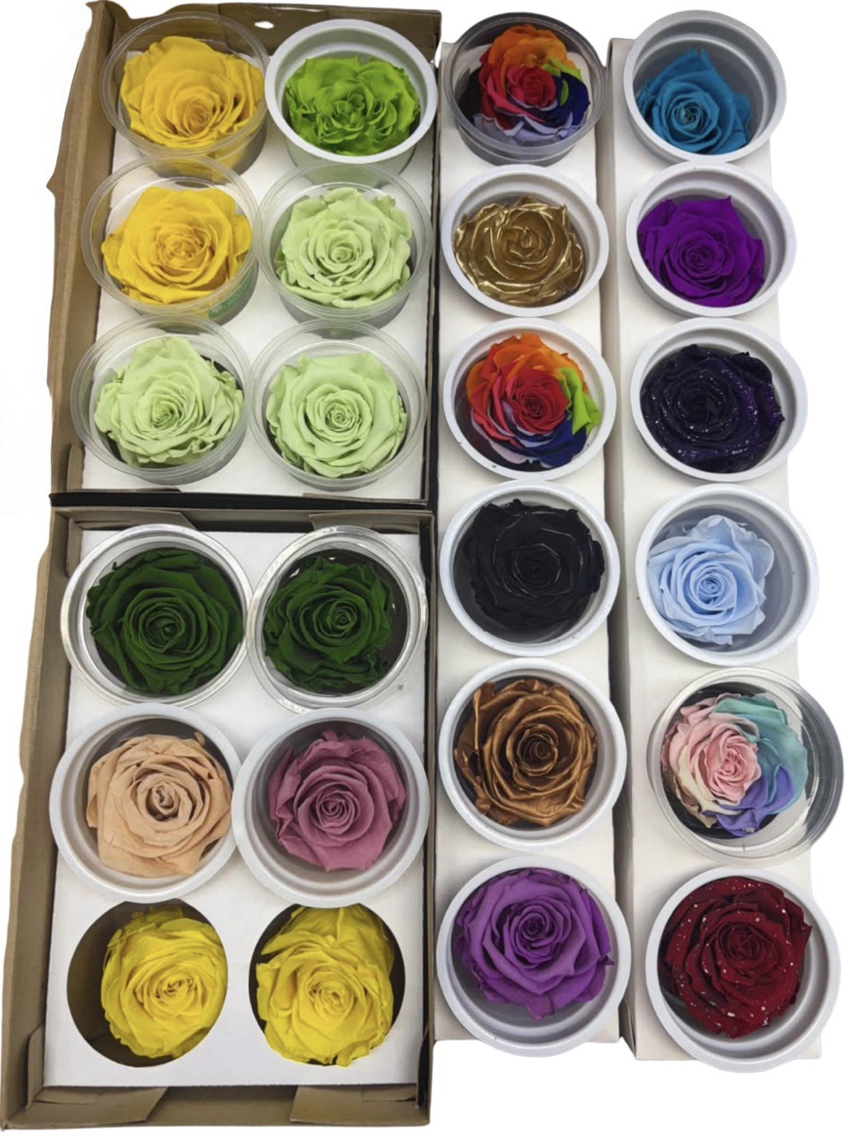 Eternal Roses Pack of 6 Brand New Multiple Colors Florist Event Decor