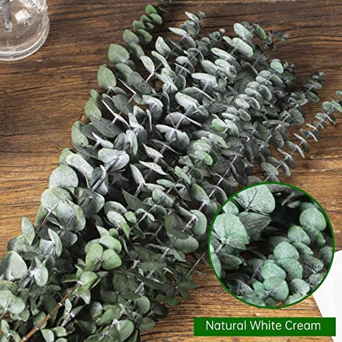 16 Pcs Dried Eucalyptus Stems, 17” Natural Fresh Eucalyptus Leaves Green
