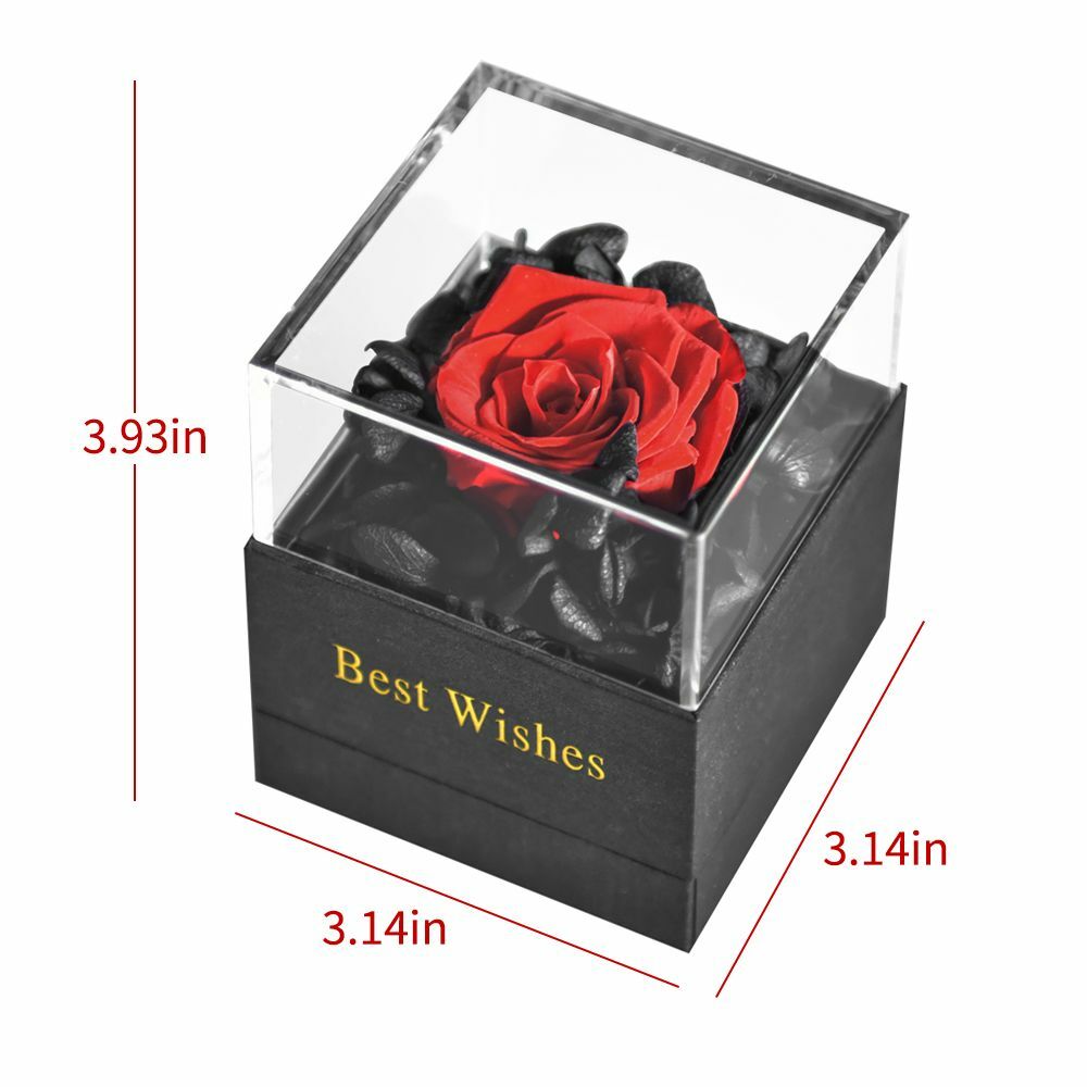 Preserved Fresh Rose Flower Jewelry Box Birthday Wedding Valentine Gifts Womens